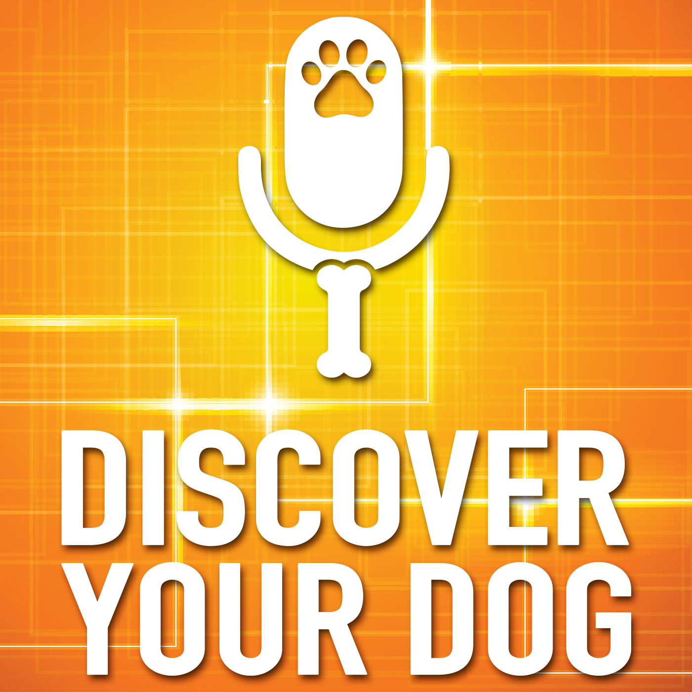 Discover Your Dog