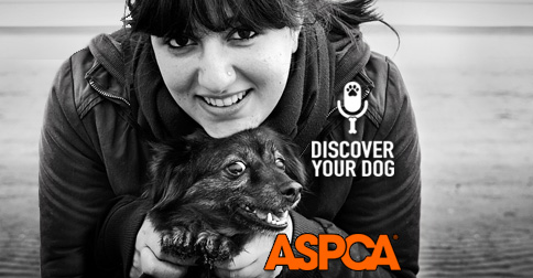 Discover Your Dog Episode 26 Preventing Cruelty to Dogs (...and other animals, too!)