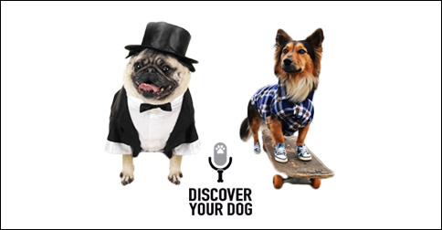 Formal Dog and Casual Dog image