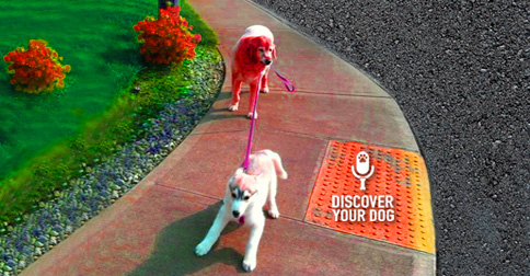 Dog Walking Dog On Leash Picture - Discover Your Dog
