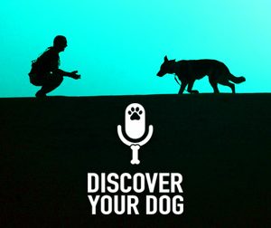 Ep 047 Dog Training Basics: The COME Command