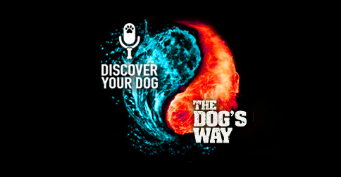Discover Your Dog Podcast welcomes Sean McDaniel of The Dog's Way podcast.