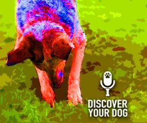 Ep 072 Discourage Your Dog from Digging