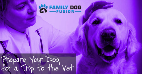 Dog with Vet