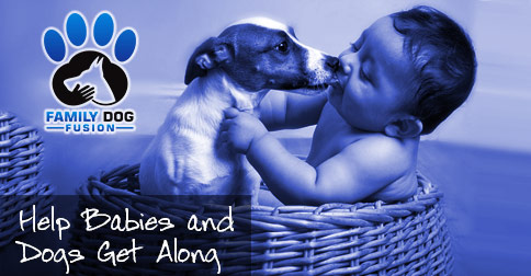 Babies and Dogs Picture