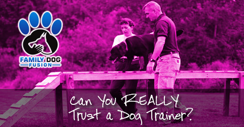 Can You Really Trust a Dog Trainer image