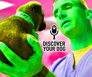 Ep 099 Curb Your Dog’s Veterinary Violence