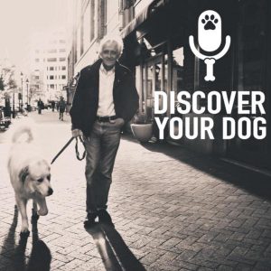 Ep 134 Leash Pulling Dog, Part 3: The Homework