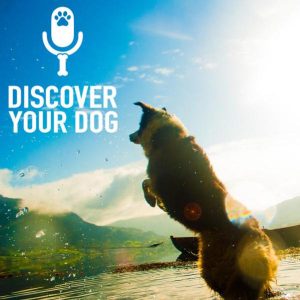Ep 135 Pool Planning for Your Pooch