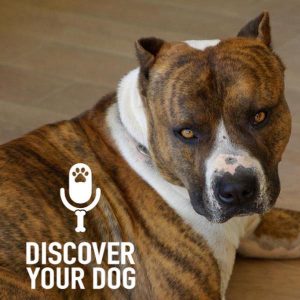 Ep 136 Seven Secrets to Building Your Dog’s Self-Confidence: Part 1