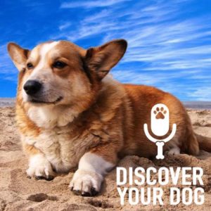 Ep 137 Seven Secrets to Build Your Dog’s Self-Confidence: Part 2