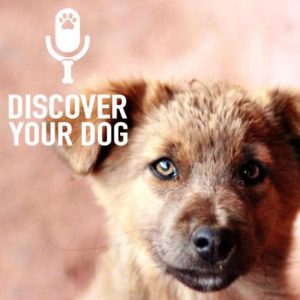 Ep 138 Tips to Find Your Perfect Dog Trainer