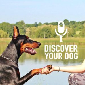 Ep 140 Are You Treating Your Dog Like a Human?