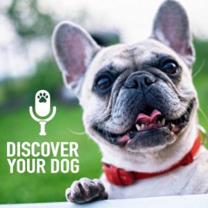 Ep 142 A Dog Trainer’s Perspective; Corrective Mentality