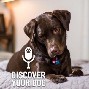 Ep 144 The Purpose of Your Dog