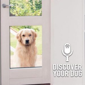 Ep 158 Ins and Outs of the Doggie Door