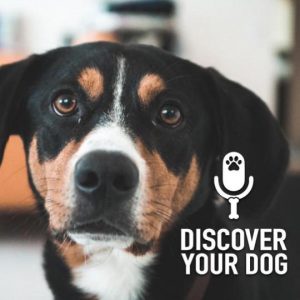 Ep 159 The Guilty Dog