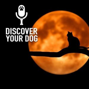 Ep 160 Beware… Don’t Let That Cat Cross Your Path!