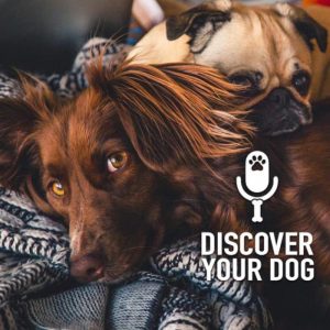 Ep 164 Your Dog’s Need to Lean on You