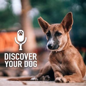 Ep 170 – 2018 Dog Lover’s Quick Reference Guide