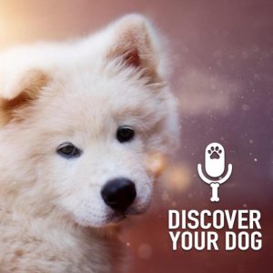 Ep 172 The Untrained Dog, Part 1: Your Friend’s Bad Dog!