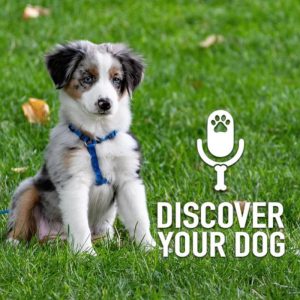 Ep 180 Dog Training Highs and Lows