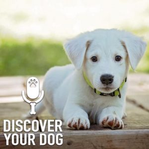 Ep 182 New Puppy Woes and Wows