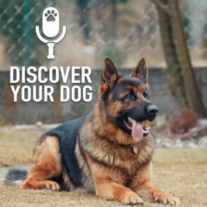 Ep 184 The 97% of Aggressive Dogs