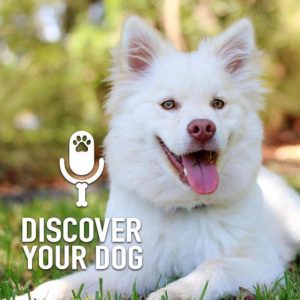 Ep 186 Dog Training Myths