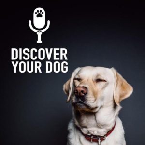 Ep 187 Interesting FDF Dog Training Statistics