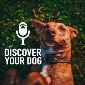 Ep 191 Better Results from Your Dog Training Pt. 2