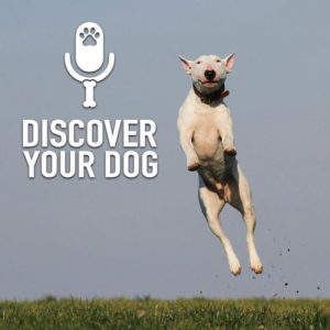 Ep 192 Article: Training Dogs Not to Jump