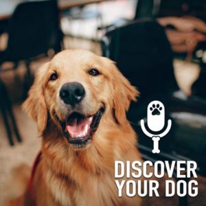 Ep 199 Interview: Linda Gregg (Therapy Dogs)