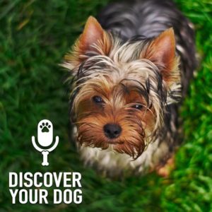 Ep 203 How to Give a Dog a Pill