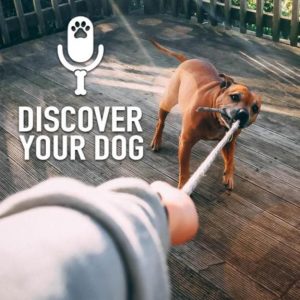 Ep 206 The Sporting Dog with Linda Gregg