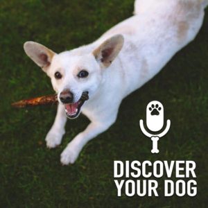 Ep 207 How to Take Items From Your Dog’s Mouth