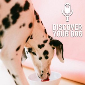 Ep 208 Your Potty Mouth Dog