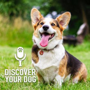 Ep 219 Praise: The Only Way to Train Your Dog