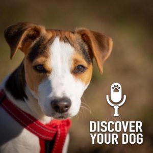 Specific Breed: JRT