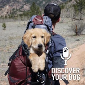 Outdoor Adventures with Your Dog