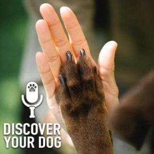 Dog Training Credentials & Experiences